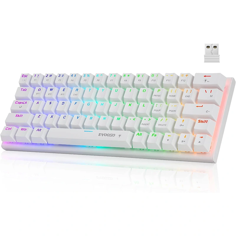 63 RGB Keys wireless BT 2.4GHz type-c Mechanica Gaming Cantiones